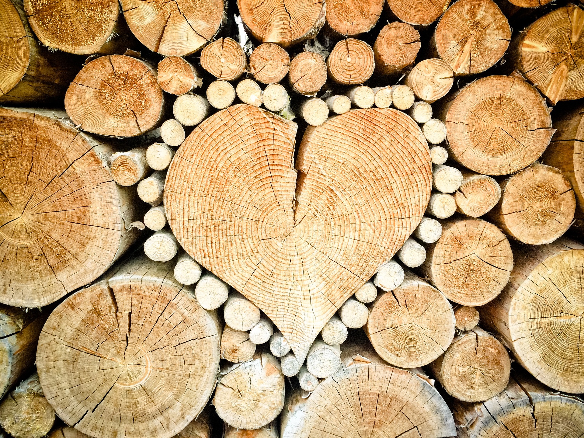 chauffage au bois