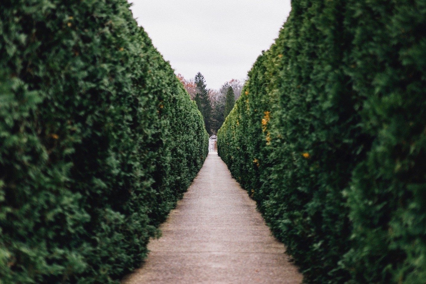 jardin