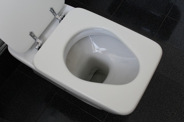 toilette