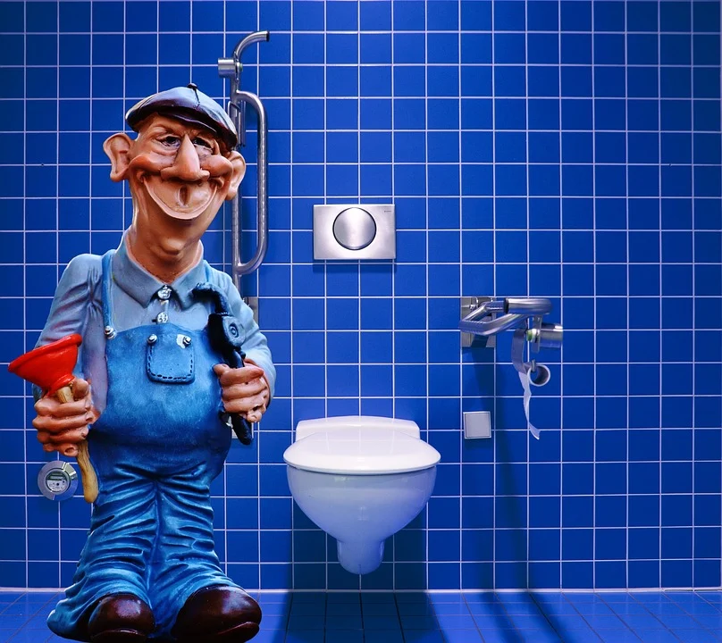 débouchage WC